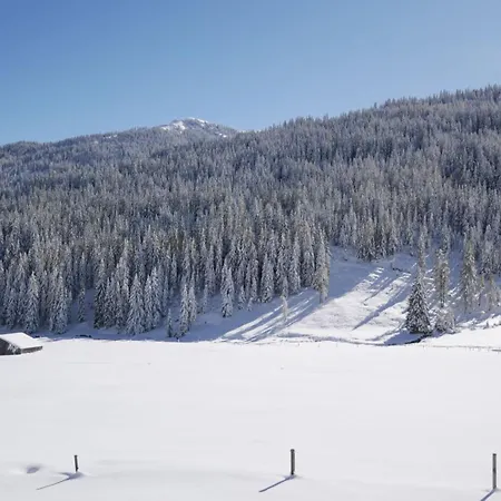 Mittereggalm מלון Mühlbach am Hochkönig