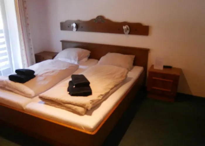 Mittereggalm Otel Mühlbach am Hochkönig